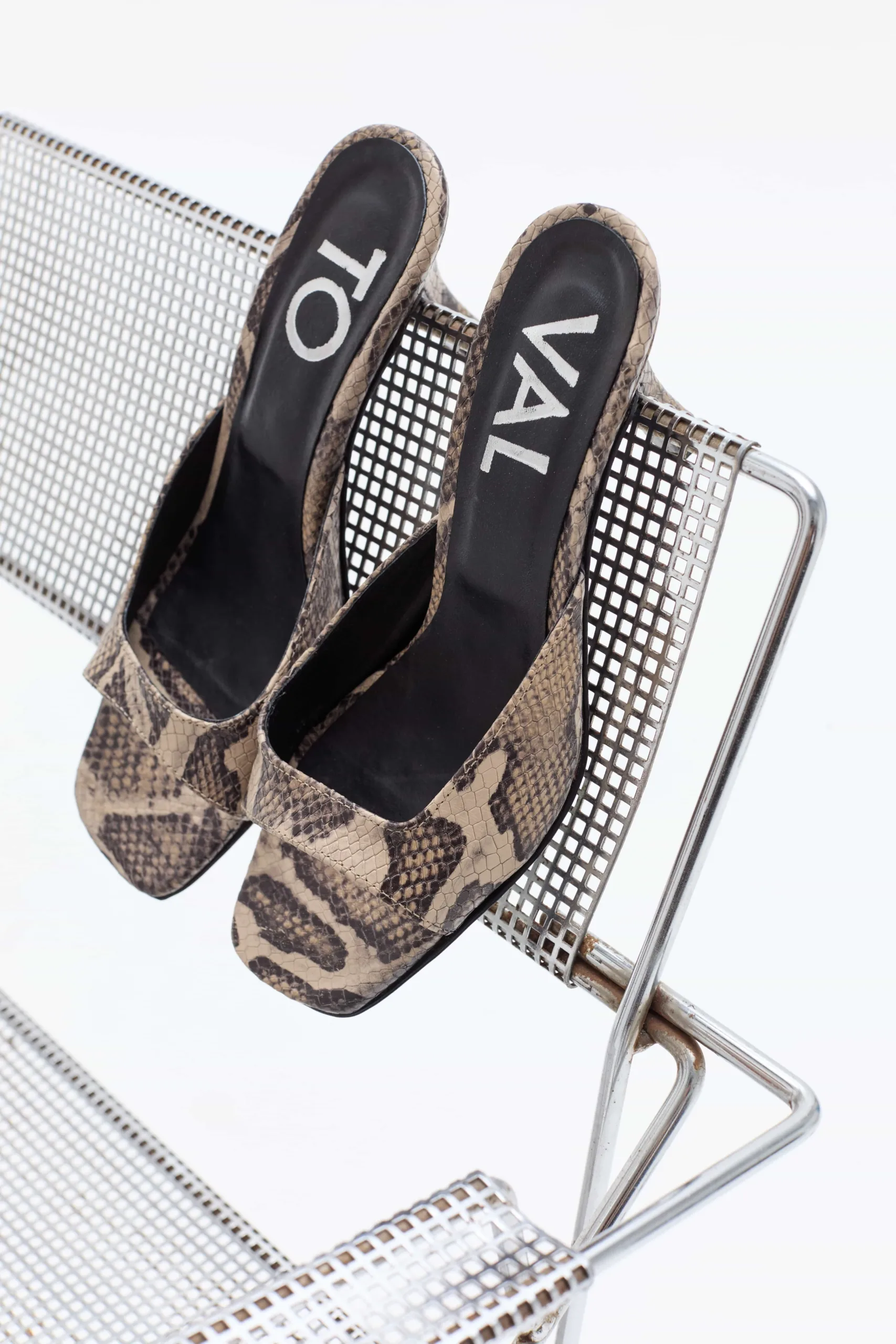 Hathaway Reptil (2)